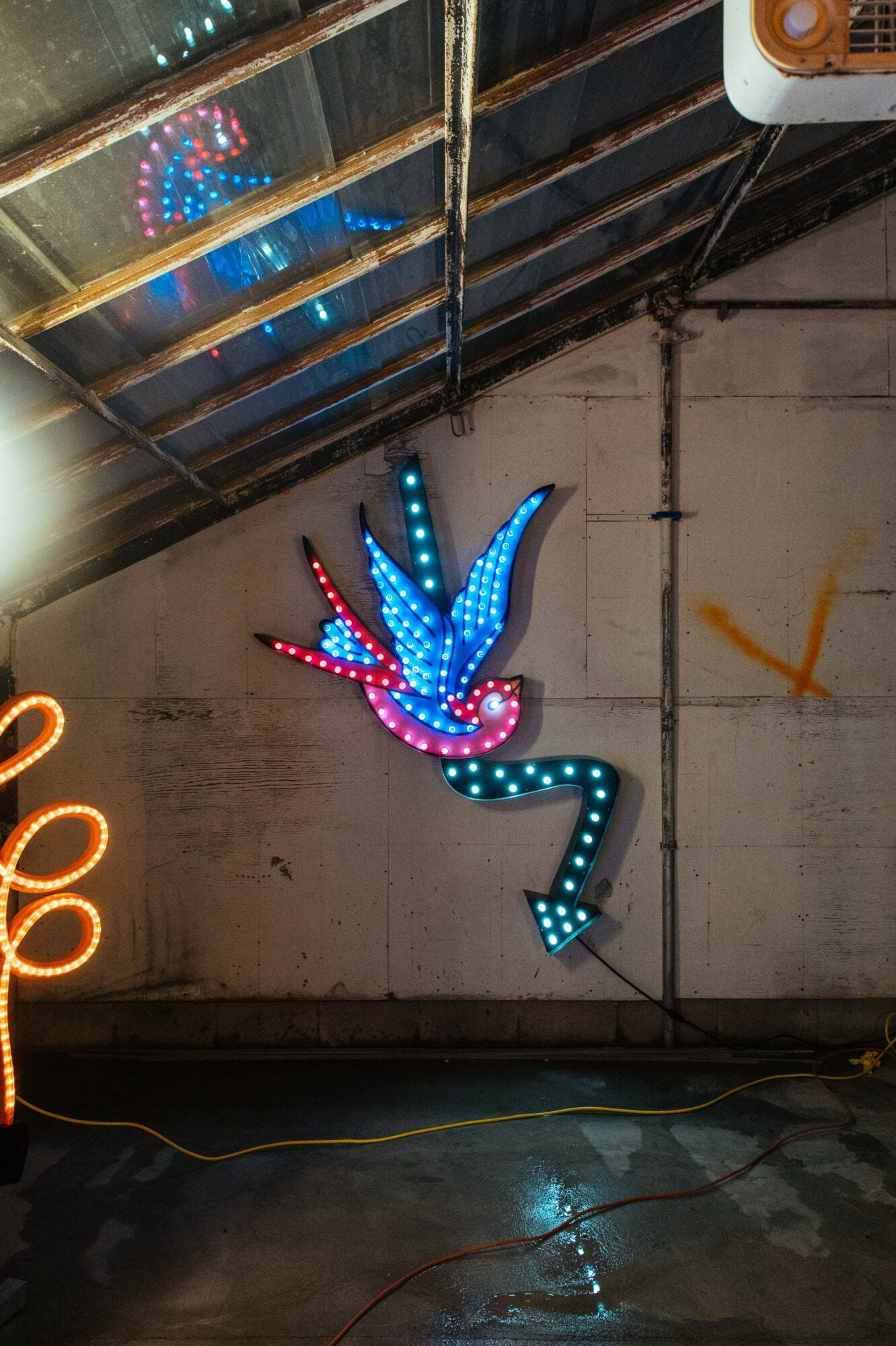 Charlie Hewitt neon bird art