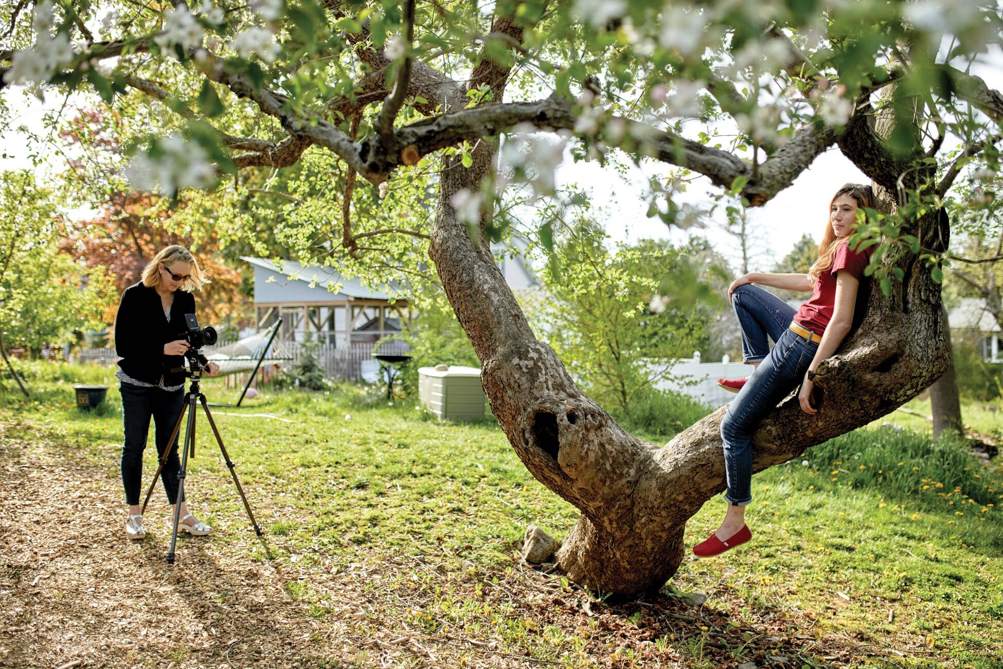 Jocelyn photographs Pearl in the Grandmother apple tree, a common and beloved subject.